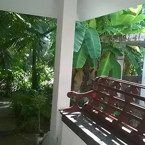 Coconut Grove , Kochi India